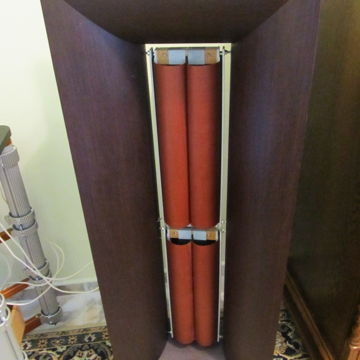 Rubanoide Dvaijnoy