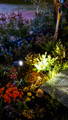 Closeup of a Havit Garden Spike Light, illuminating a garden display