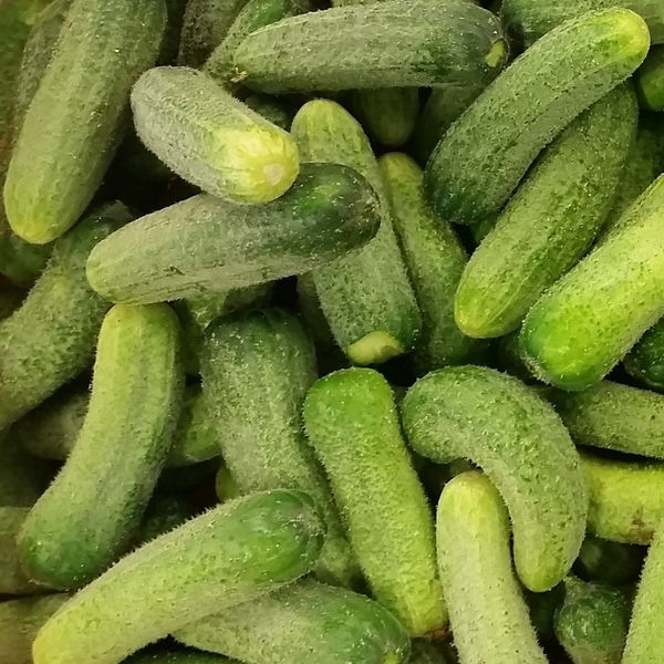 cornichons