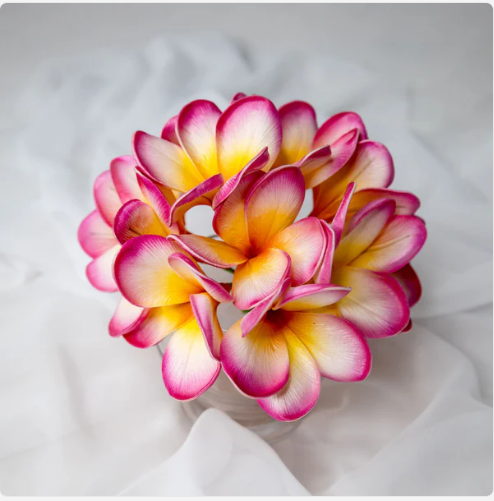 Sunset Pink Frangipani Flowerhead (6 Pack) - Realistic Artificial Flowers - Image 6