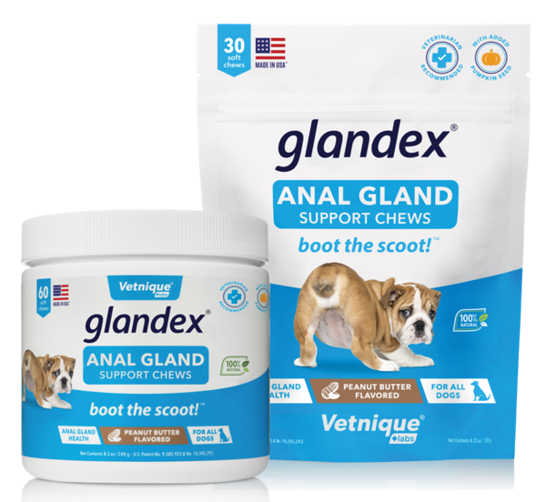 Glandex anal gland supplement soft chews for dogs — 30 and 60 count