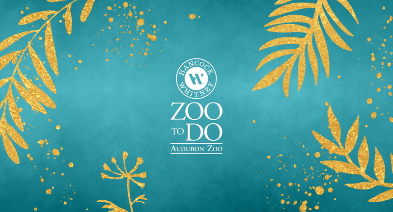 Hancock Whitney Zoo-To-Do 2026
