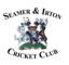Seamer & Irton CC logo