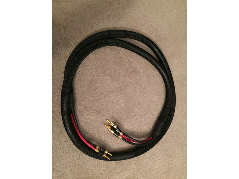 Purist Audio Design Venustas Luminist 2m bi-wire Mint customer trade-in