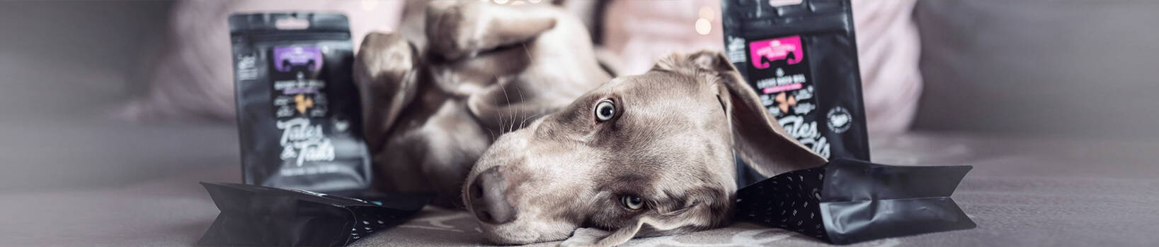 Trockenfutter für Hunde