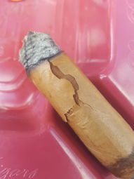 Cigar Session Photo