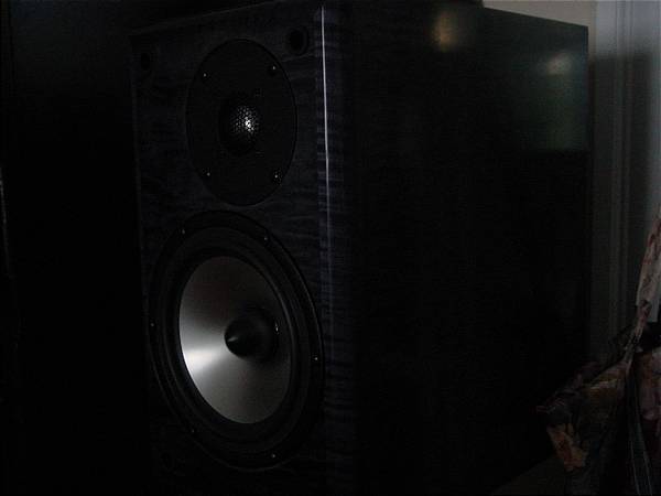 monitors in gray-dyed curly maple