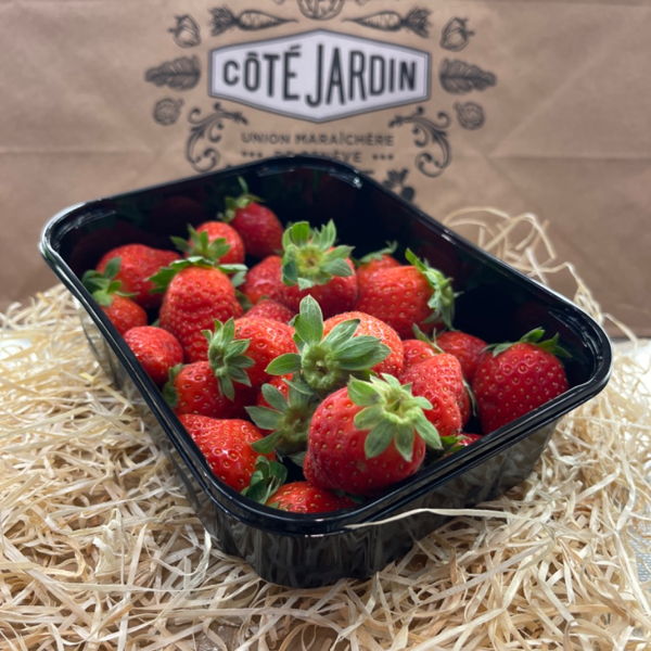 fraise-mariguette