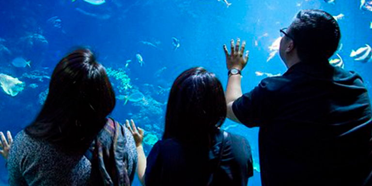 California Academy of Sciences NightLife Admission Ticket promotional image