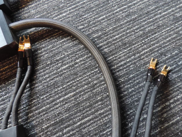 Transparent Audio Reference XL SS  Speaker Cable 2.5M P...