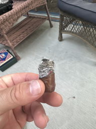 Cigar Session Photo