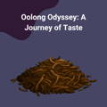 muave tea shop - oolong tea collection - a journey of taste