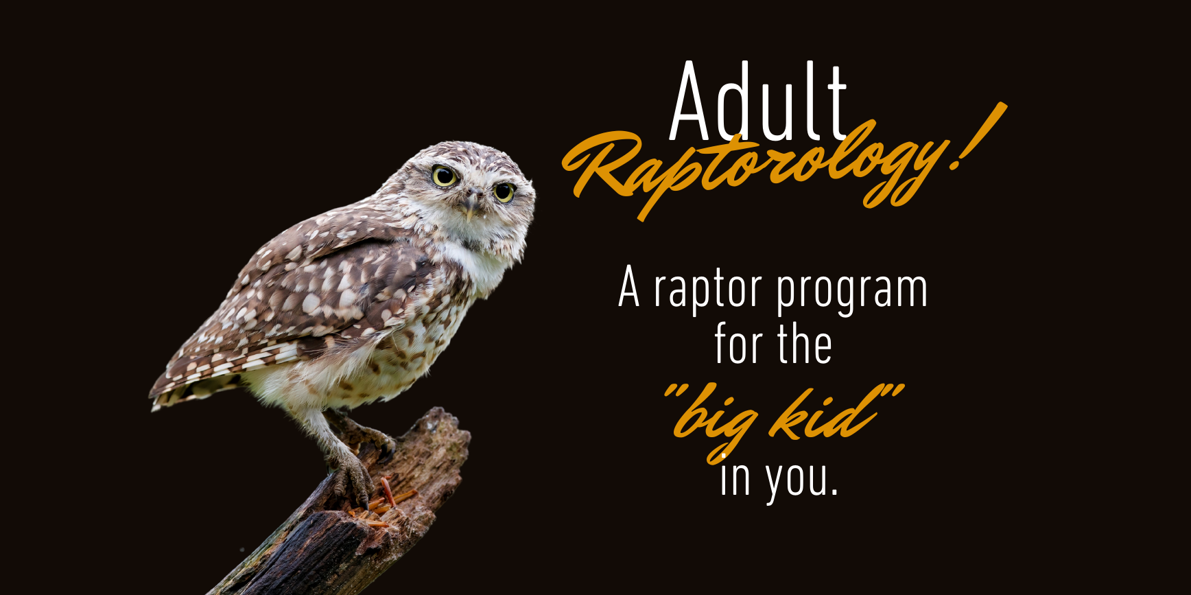 Adult Raptorology promotional image