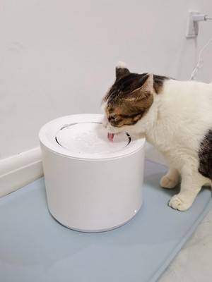 Petree Automatic Cat Water Fountain Dispenser