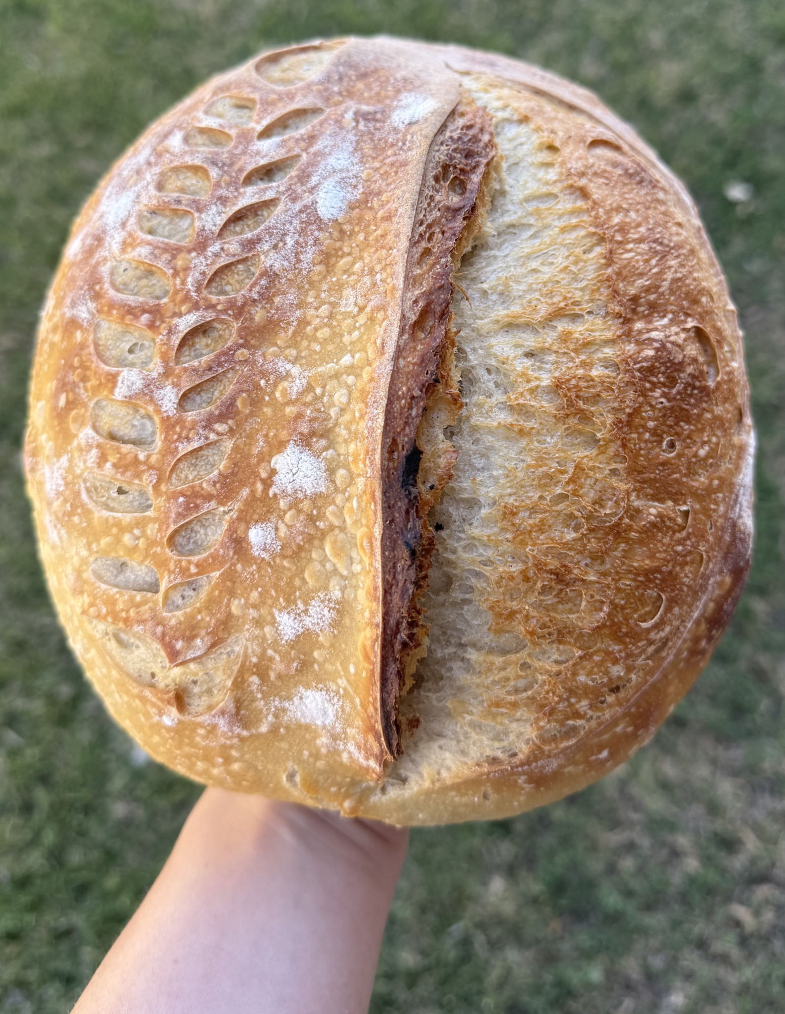 Daily Bread Sourdough AZ — photo from hotplate.com