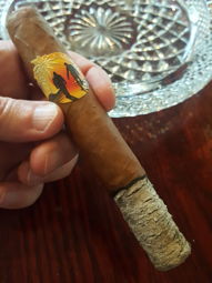 Cigar Session Photo