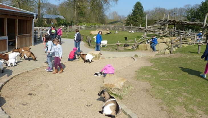 naturzoo rheine streichel zoo