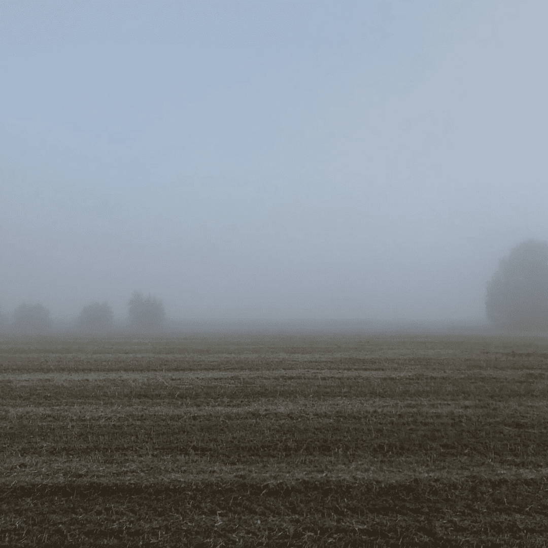 signore anziano di profilo -  Corso di fotografia online