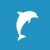 FlypSite