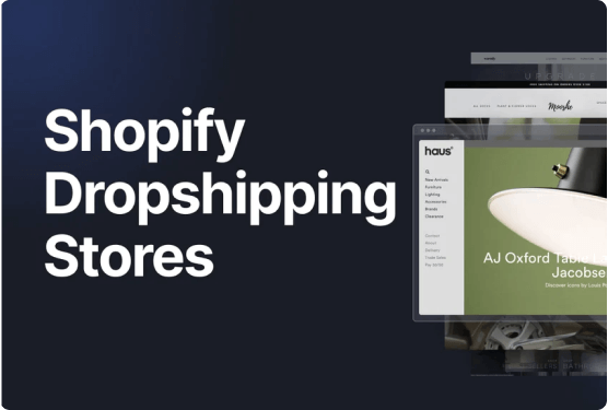 11 Dropshipping Stores That Inspire Us