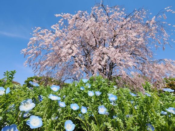 9mm（18mm相当） 1/250秒 F11 ISO200