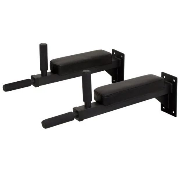 Synergee Wall Mounted Dip Station