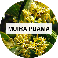 Muira Puama