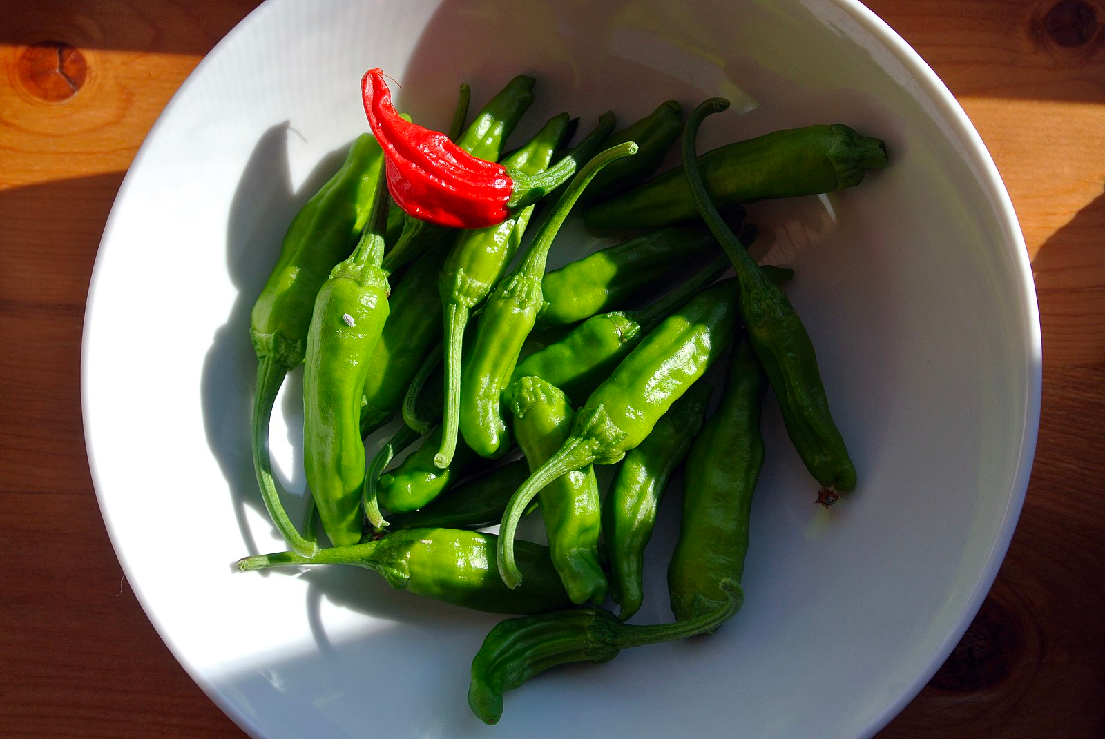 Green shishito peppers and one red shishito pepper in a white bowl on a wooden background