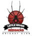 Little River Cricket Club logo
