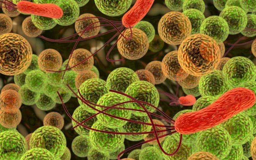 Allergy & Bacteria Treatments Dickson