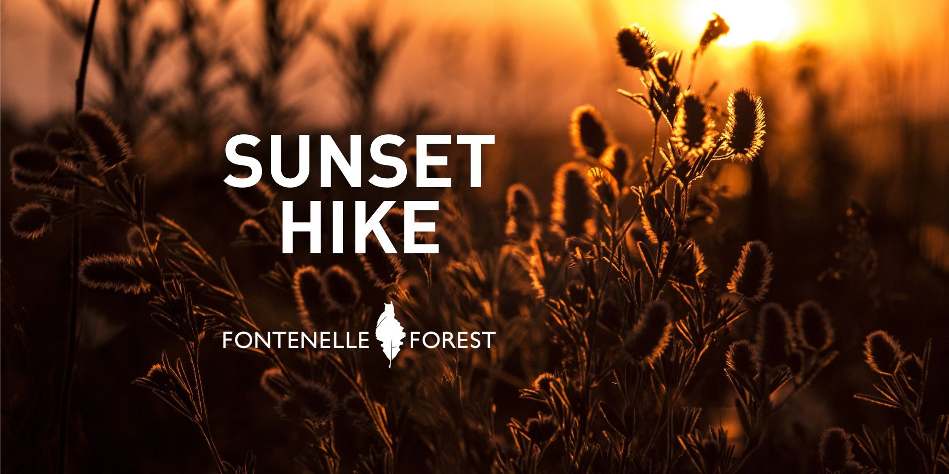 Sunset Hike promotional image