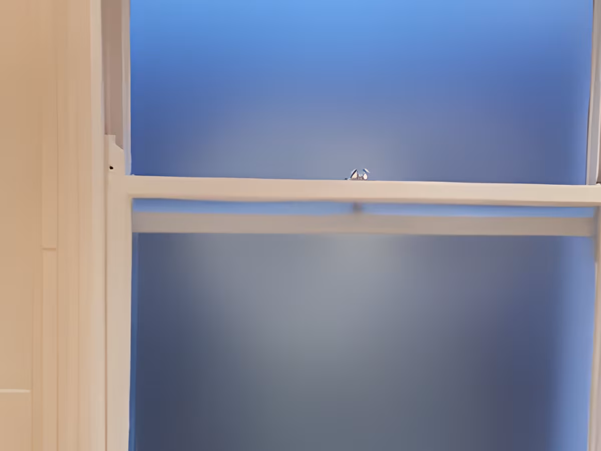 mortice and green window supplier south croydon