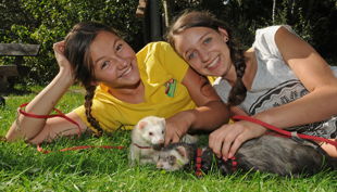 ferienprogramm im wildpark schwarze berge
