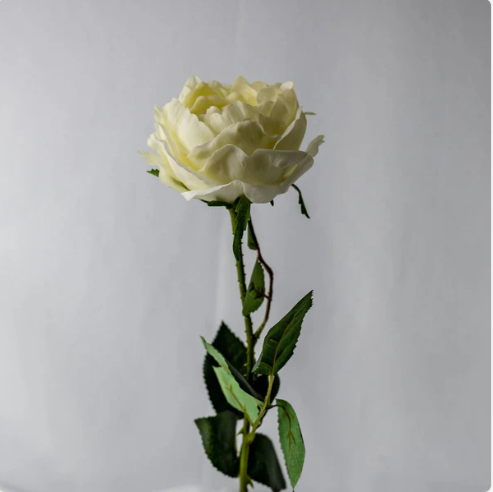 Pale Peach Real Touch Open Bud Roses - Realistic Artificial Flowers - Image 3