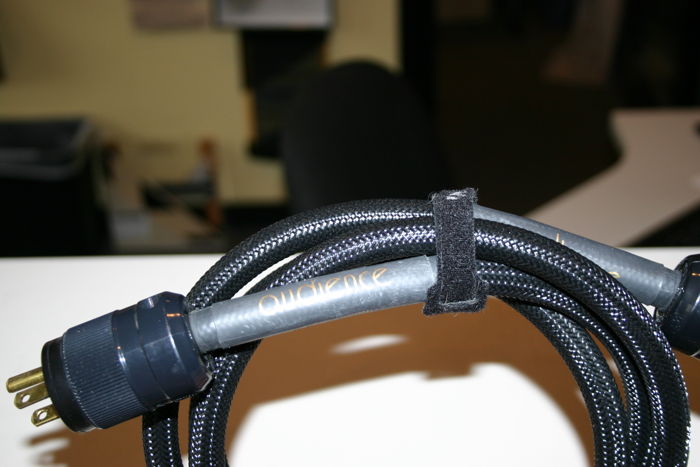 Audience Power Cord