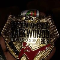 Medalha de ouro em taekwondo conquistada pelo projeto itamar