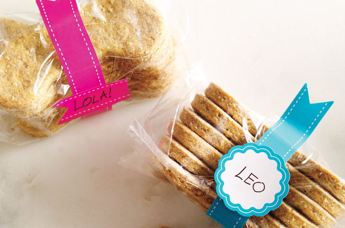 Biscuits pour chiens