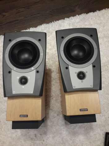 Dynaudio Confidence C1 Maple