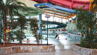 bg wonnemar wismar bad flur pflanzen