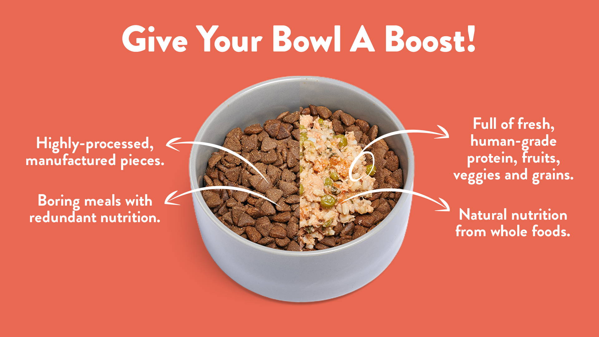 A bowl of kibble with a healthy, Portland Pet Food Company dog food topper