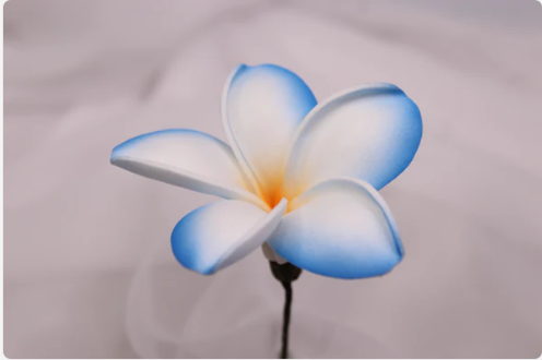 Ocean Breeze Frangipani Real Touch (6 Pack) - Realistic Artificial Flowers - Image 3