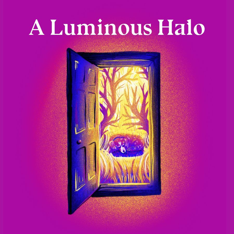 A Luminous Halo: Selected Writings by Virginia Woolf