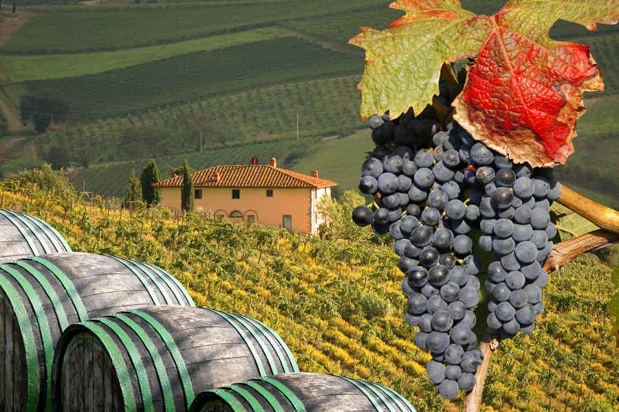Small Group Wine Tasting Tour to Tuscany: a Petite Piece of Florence - photo 5