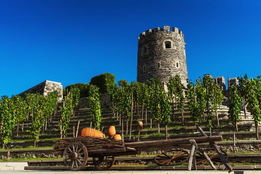 Vardzia - Rabati - Borjomi - photo 6