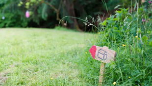 schatzsuche kindergeburtstag garten