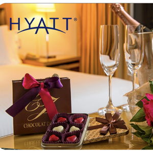 Hyatt Gift Card for Honeymoon