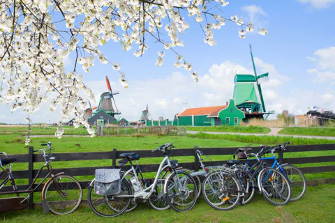 Zaanse Schans and Zaandam Countryside Electric Bike Tour
