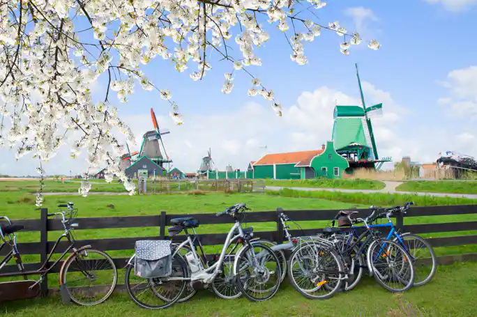 Zaanse Schans and Zaandam Countryside Electric Bike Tour