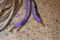 ANALYSIS PLUS Silver Oval  Bi-Wire Banana/Spade 8 ft 4