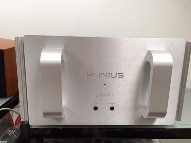 Plinius SA Reference The most tuneful and accurate bass !